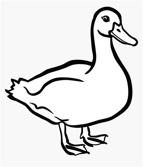 duck images clipart|duck clip art black and white.